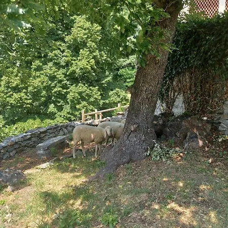 Lantgård Open Cascina