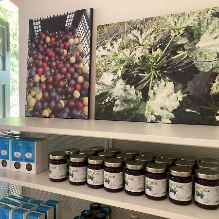 Open Cascina Колико