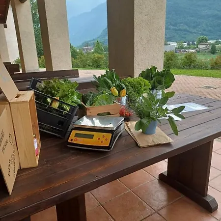 Open Cascina Колико