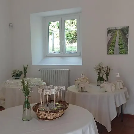 Open Cascina Колико