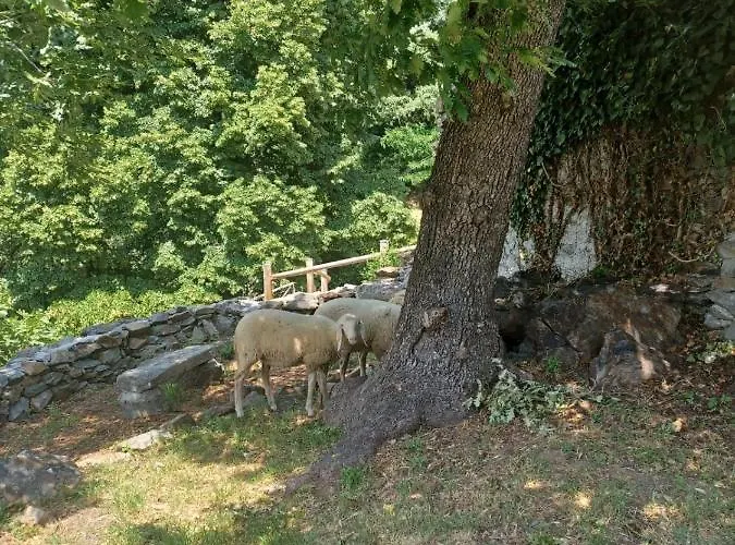 Alloggio per agriturismo Open Cascina