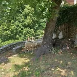 مزرعة للإقامة Open Cascina